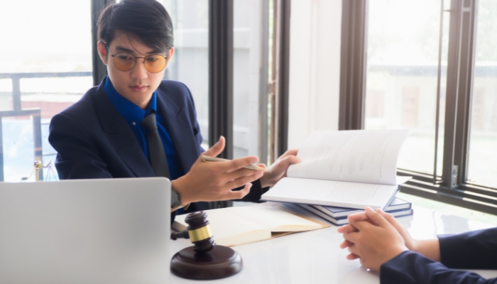 The Role of Legal Advisers in IT